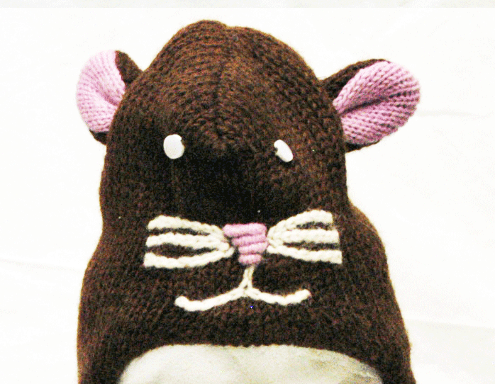 Mouse Hat
